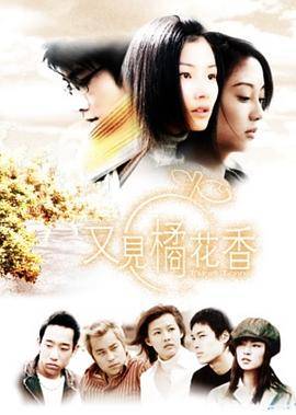 又见橘花香封面图