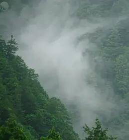 日本印象派水光和鸣封面图