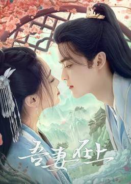 吾妻在上封面图