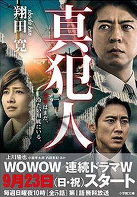 真凶封面图