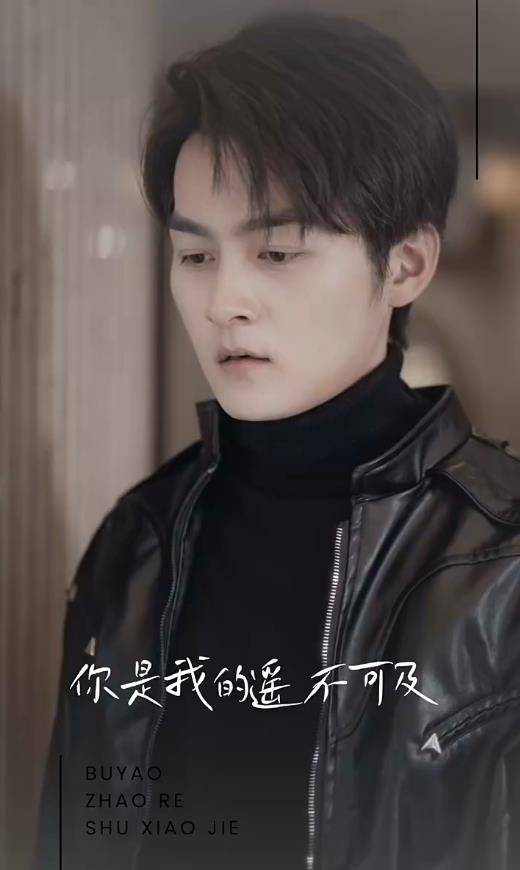 无法触碰的爱2024封面图