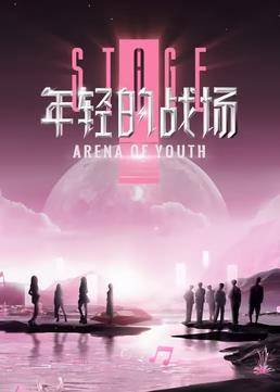 年轻的战场封面图