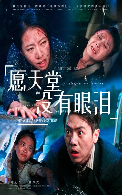 愿天堂没有眼泪封面图
