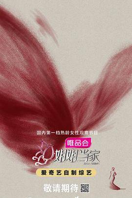 姐姐当家封面图