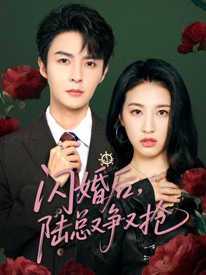 闪婚后陆总又争又抢