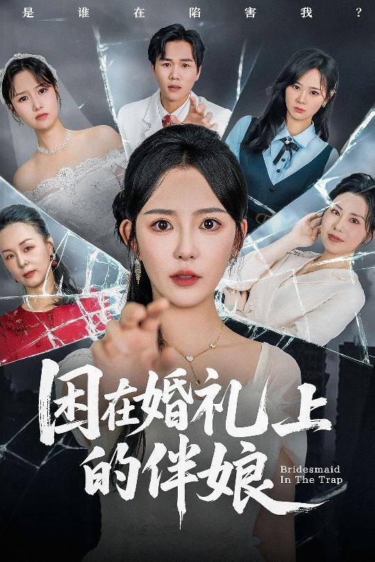 困在婚礼上的伴娘封面图