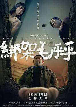 绑架毛乎乎封面图