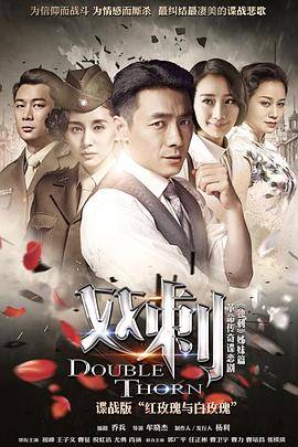 双刺DVD版封面图