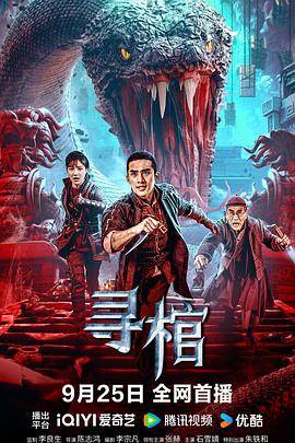 寻棺封面图
