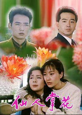 仙人掌花封面图