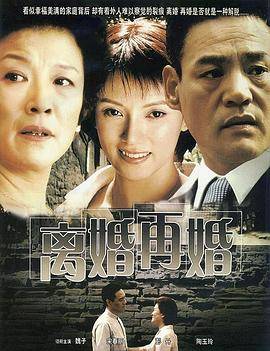 离婚再婚封面图