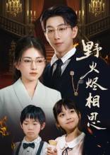 野火烬相思封面图
