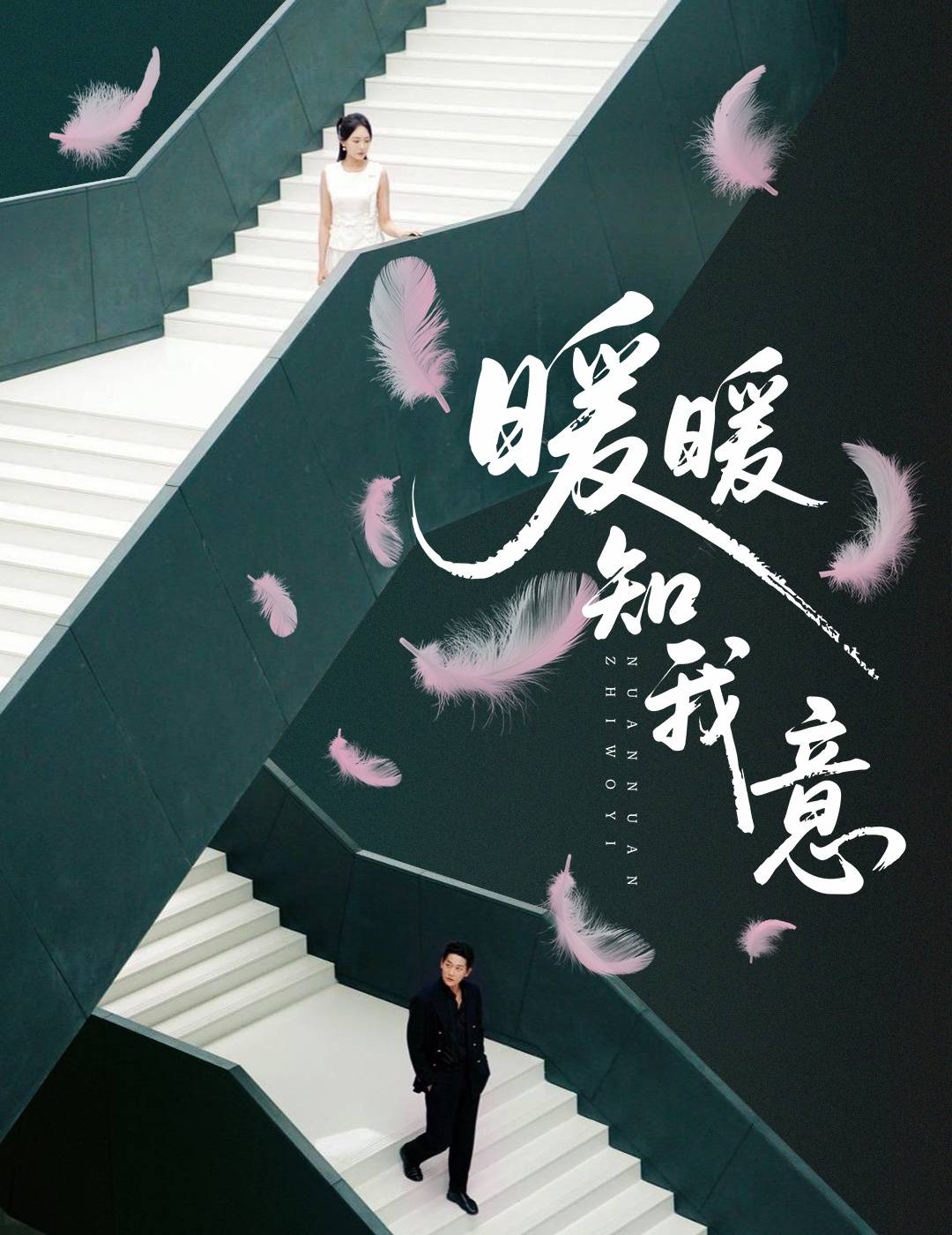 暖暖知我意封面图
