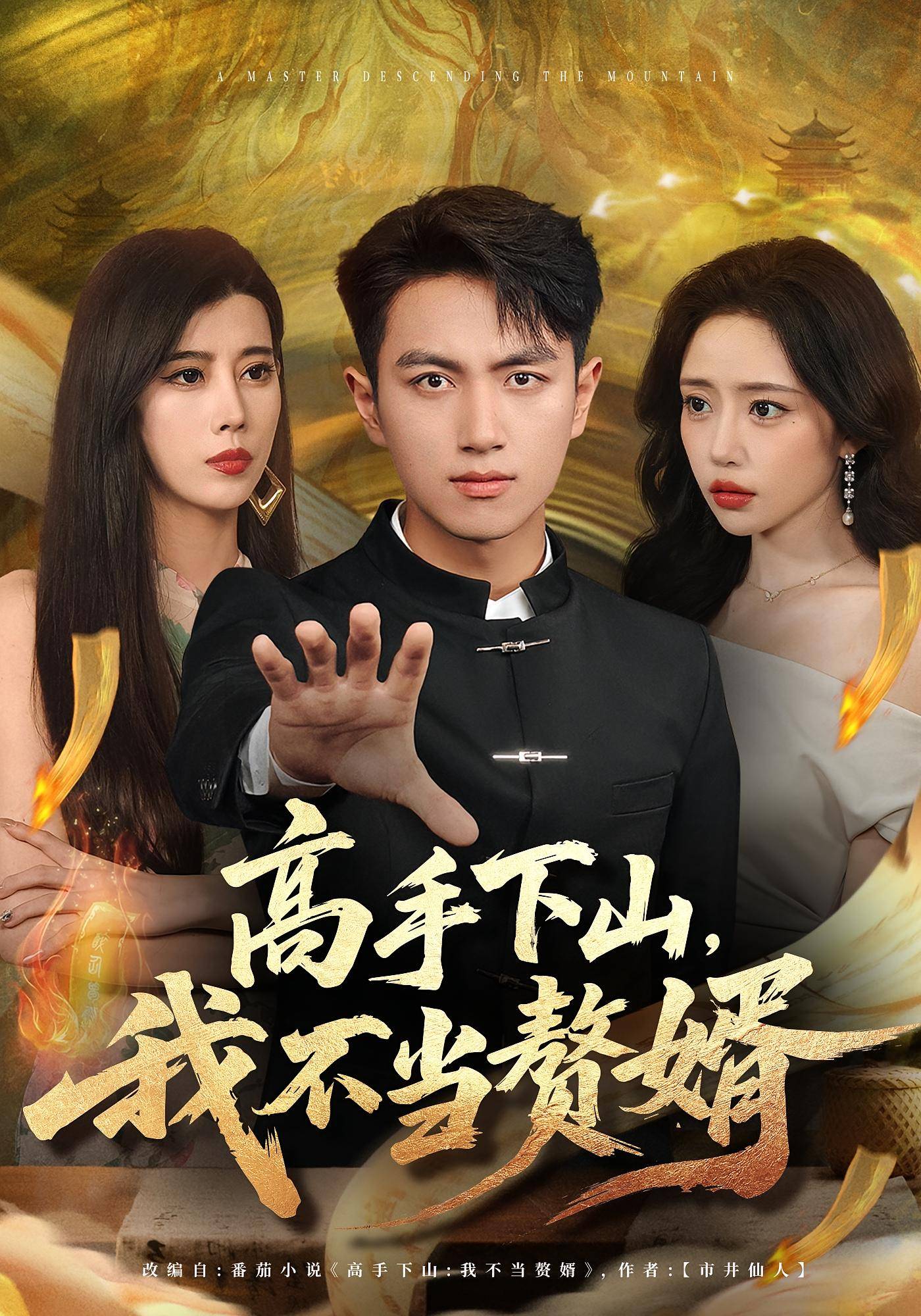 高手下山我不当赘婿封面图