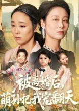 被离婚后萌孙把我宠翻天封面图
