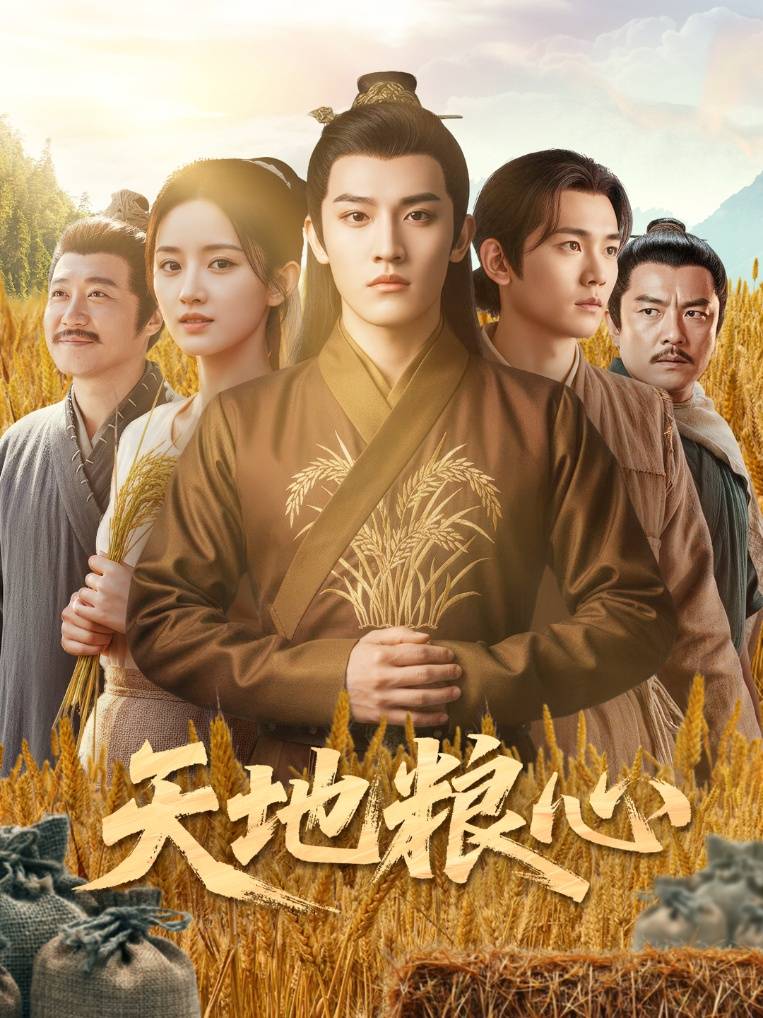 天地粮心封面图
