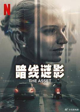 暗线谜影封面图