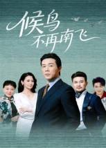 候鸟不再南飞封面图