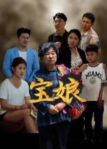 宝娘封面图