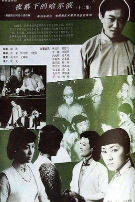 夜幕下的哈尔滨1985封面图