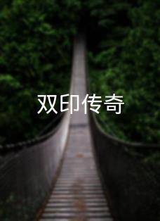 双印传奇封面图