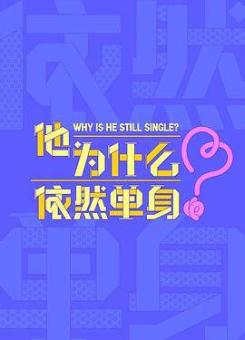 他为什么依然单身封面图