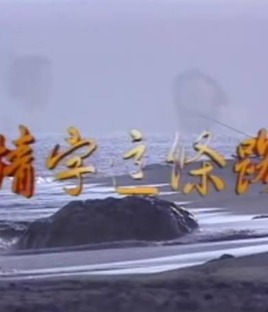 情字这条路封面图