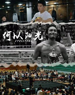 何以阳光封面图