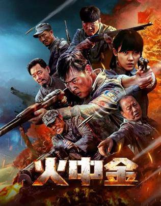 火中金封面图