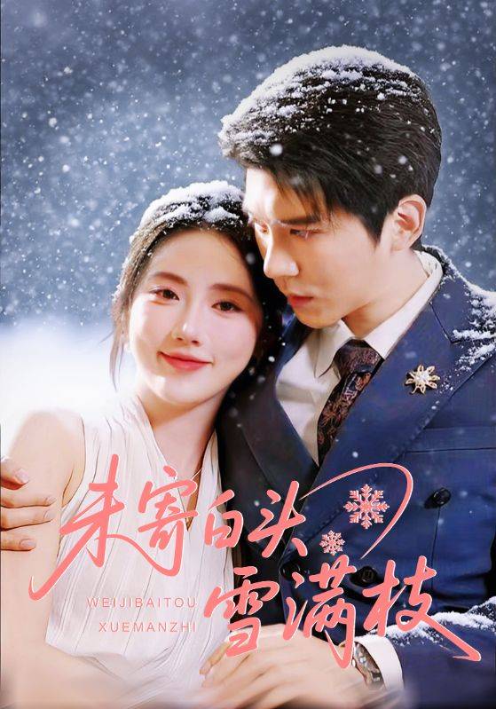 未寄白头雪满枝封面图