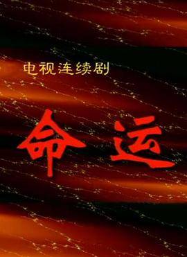 命运1999封面图