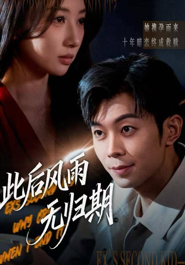 此后风雨无归期封面图