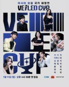 VEILEDCUP封面图