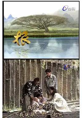 根封面图