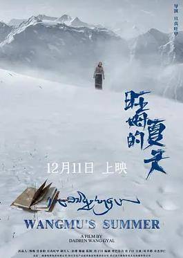 旺姆的夏天封面图