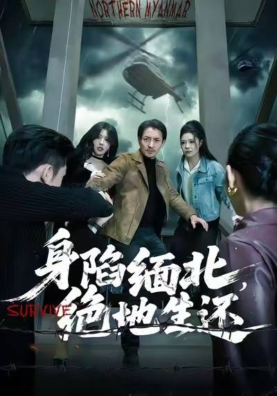 身陷缅北，绝地生还封面图