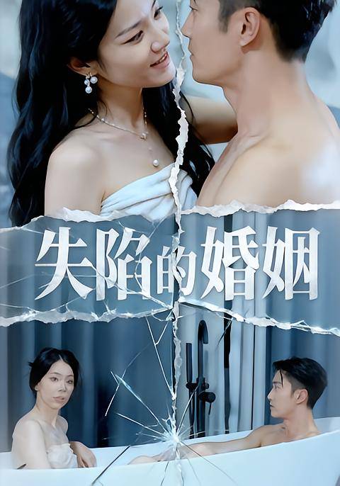 失陷的婚姻封面图