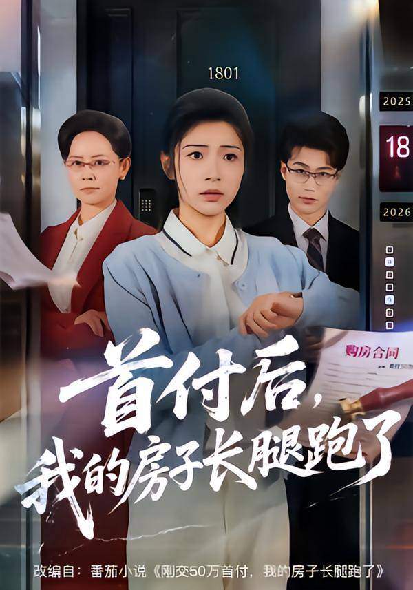 首付后，我的房子长腿跑了封面图