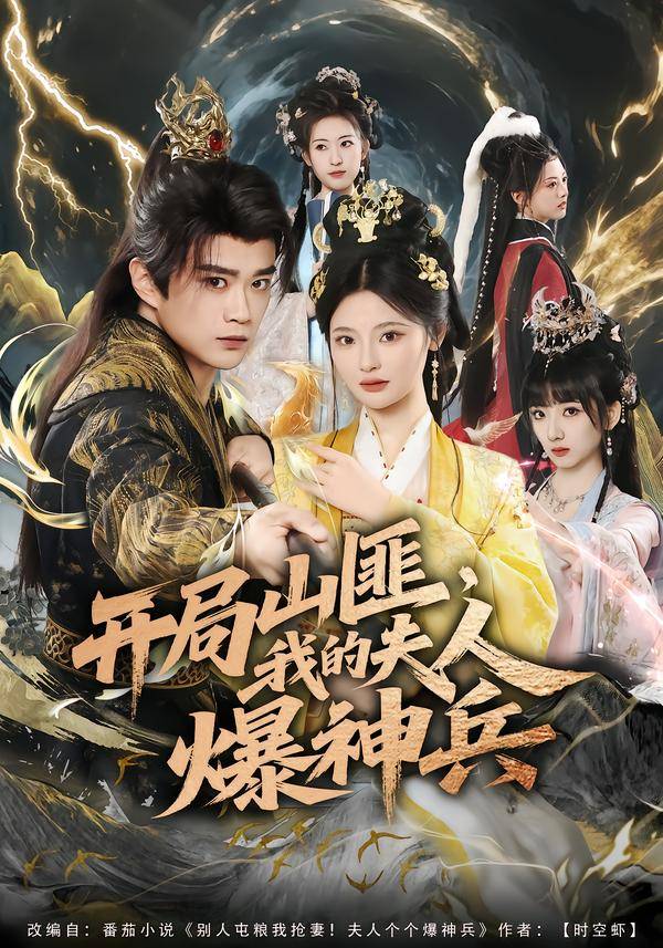 开局山匪，我的夫人爆神兵封面图