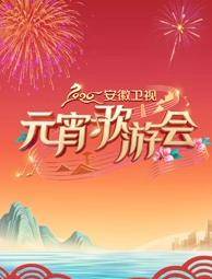 2026安徽卫视元宵歌游会封面图