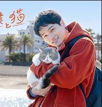 旅行和我和猫封面图