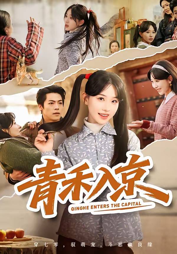 青禾入京封面图