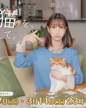 我收留了前男友的猫封面图