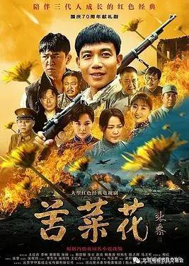 苦菜花2026封面图