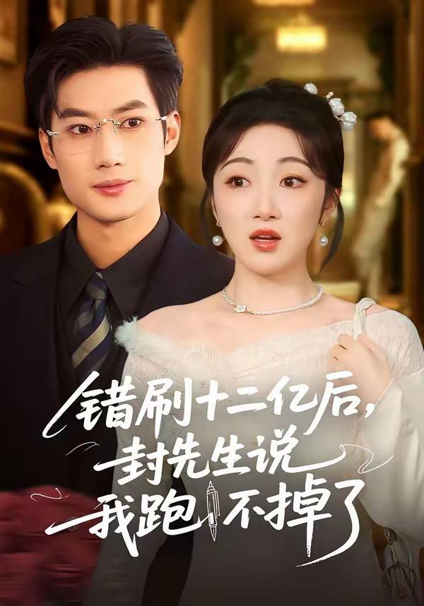 错刷十二亿后，封先生说我跑不掉了封面图