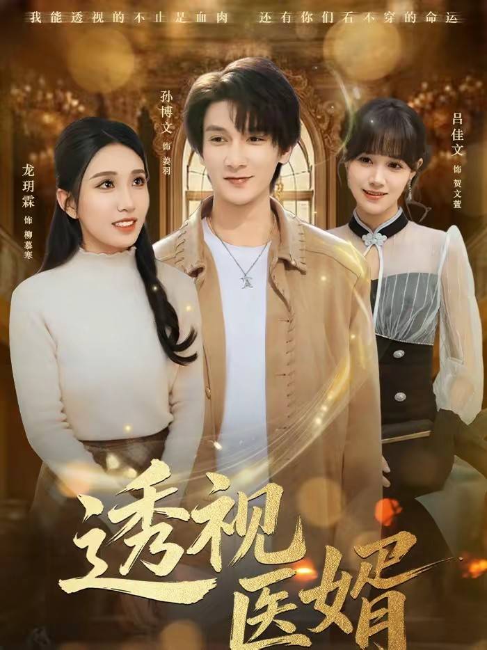 透视医婿封面图