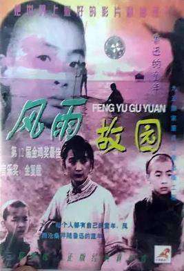 风雨故园封面图