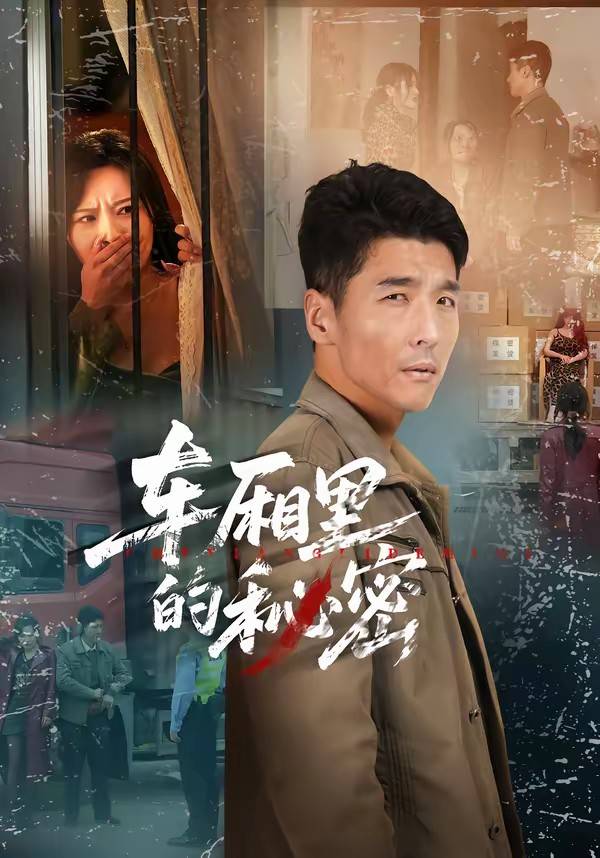 车厢里的秘密封面图