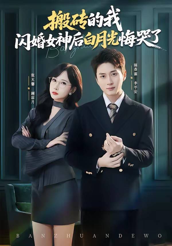 搬砖的我，闪婚女神后白月光悔哭了封面图