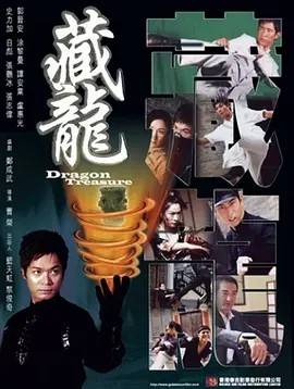 藏龙封面图